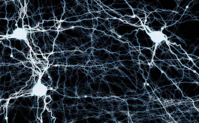 Abbildung des neuronalen Netzes