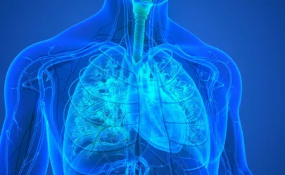 Abbildung eines menschlichen Körpers mit Fokus auf die Lunge