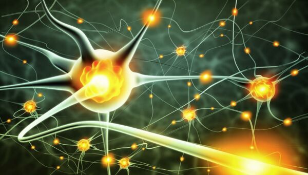 Erregung und Anpassung von Nervenzellen