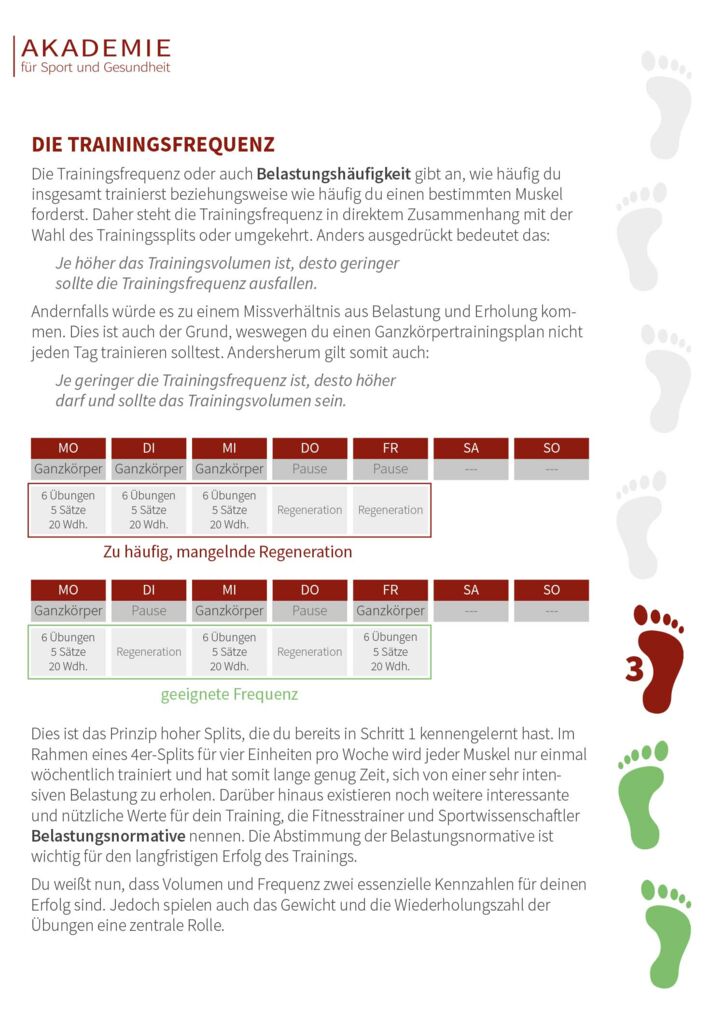 Ein Flyer für ein Schulungsprogramm auf Deutsch.