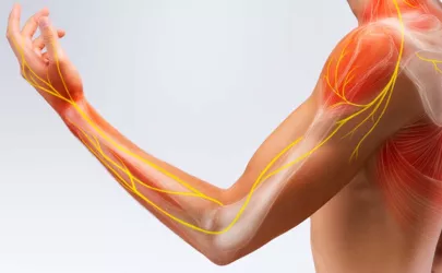Illustration der Anatomie des menschlichen Arms mit Darstellung von Nerven, Knochen und Bändern