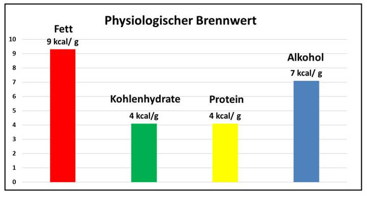 Brennwert von Fett Kohlenhydraten Proteinen und Alkohol